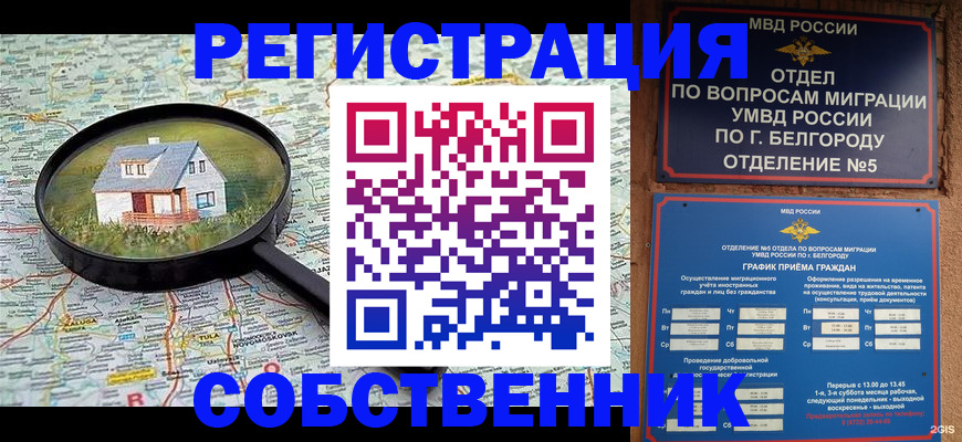 регистрация для школы в Всеволожске
